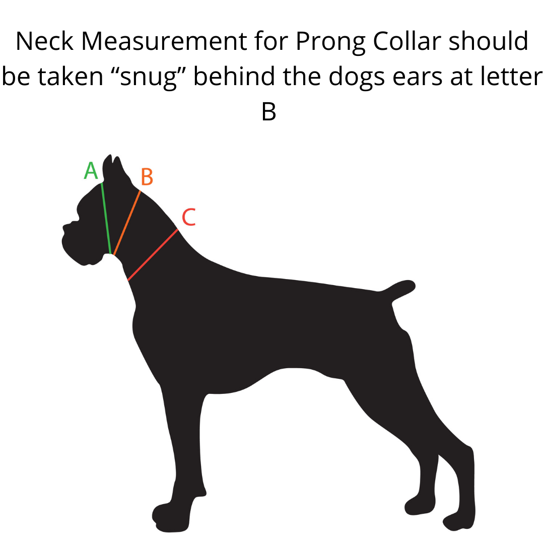 A Secret Powers Training Collar with Quick Release Snap - Bit-O-Irish, Red